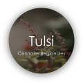 Afiliacion-tulsi_-publico-meta-1-1.png