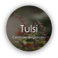 Afiliacion-tulsi_-publico-meta.png
