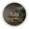 Afiliación tulsi_ público meta